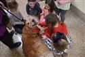 032524_tv_therapy_dog-07-6