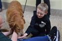 032524_tv_therapy_dog-09-8
