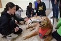 032524_tv_therapy_dog-10-9