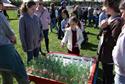 DSC_0031(3)-53