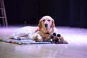 DSC_0123(6)-9