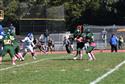 DSC_0178(7)-17