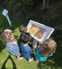 IMG_2264(2)-2