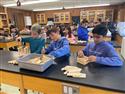 IMG_3539_(1)-5