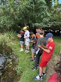 IMG_3770(2)-3