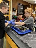 IMG_6195-1