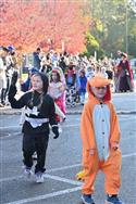 Z6D_3555_00001-36