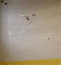 planefly-14